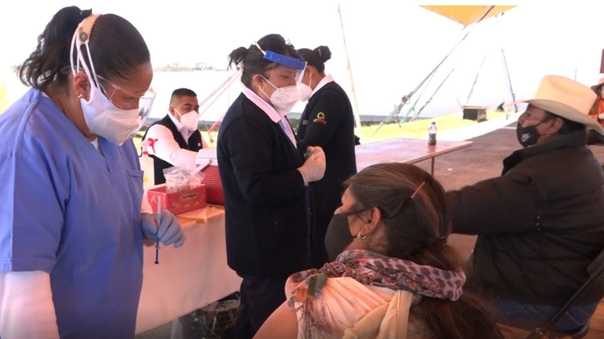 vacunacion_edomex