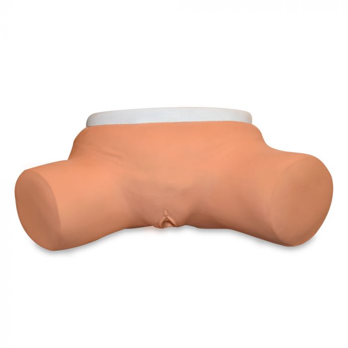 Simulador de cateterizacion