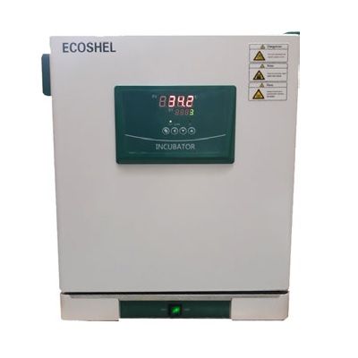 Incubadora de temperatura constante de 43L