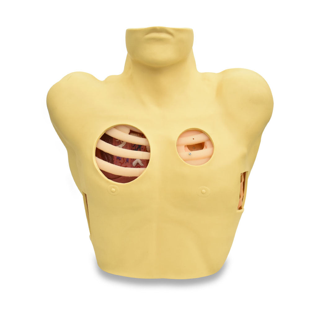 Simulador de drenaje pleural de Beracah Medica para entrenamiento, con detalles realistas y superficie anatómica.