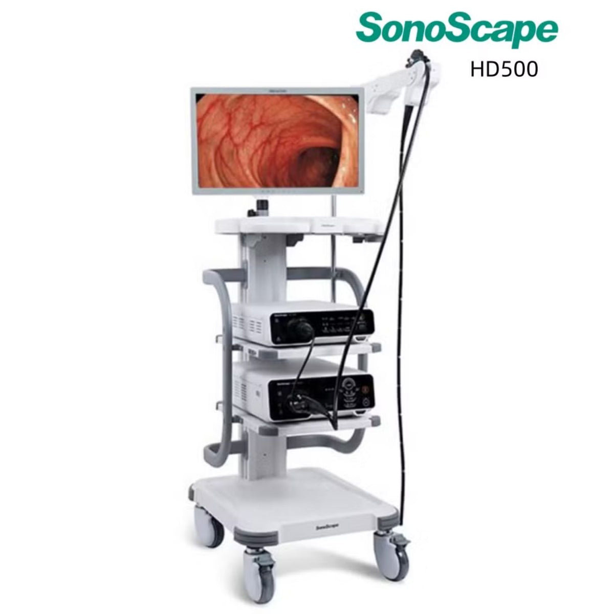Torre de endoscopia HD500 de Beracah Medica con pantalla y equipo completo para gastroscopía y colonoscopía