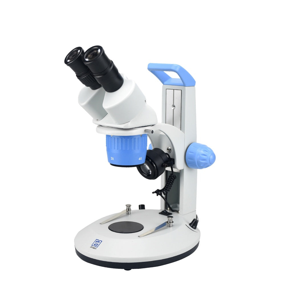 Microscopio estereoscópico binocular Beracah Medica, cabezal a 45º, con aumentos 20x y 40x, visualización de muestras.
