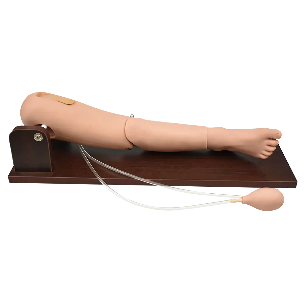 Simulador de extracción de sangre en el fémoral y punción medular, simuladores de inyecciones y venopunción de Beracah Médica