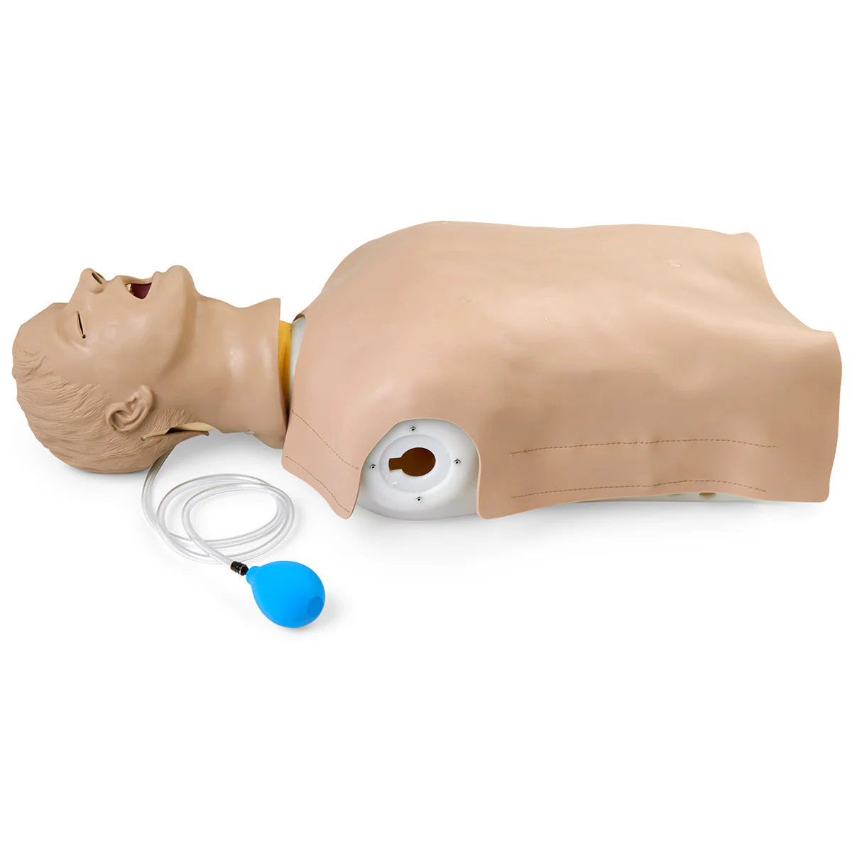 Torso de entrenamiento para vías respiratorias, modelo del sistema respiratorio de Beracah Médica, muestra estructura anatómica.
