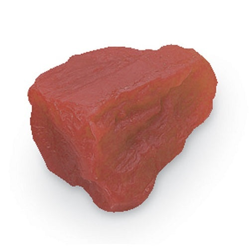 Réplica del sistema muscular de 1 lb de Beracah Medica, modelo anatómico de músculo en color natural, para estudios médicos.