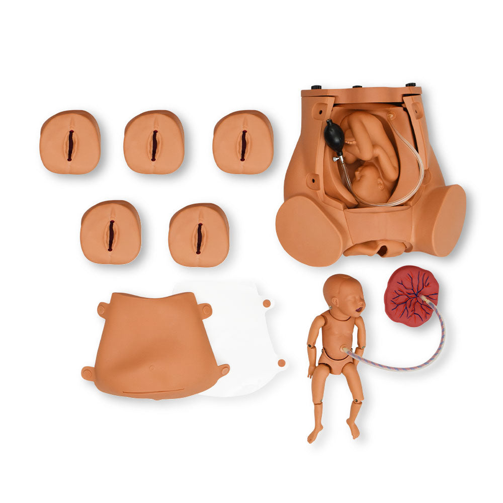 Simulador de parto para entrenamiento de habilidades, modelo de Beracah Medica, con detalles realistas para formación médica.