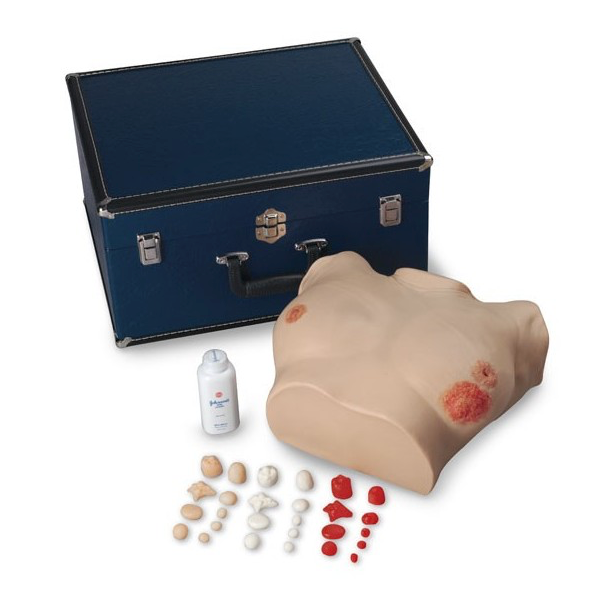 Simulador de examen de pecho avanzado de Beracah Medica, herramienta de entrenamiento para profesionales de la salud.