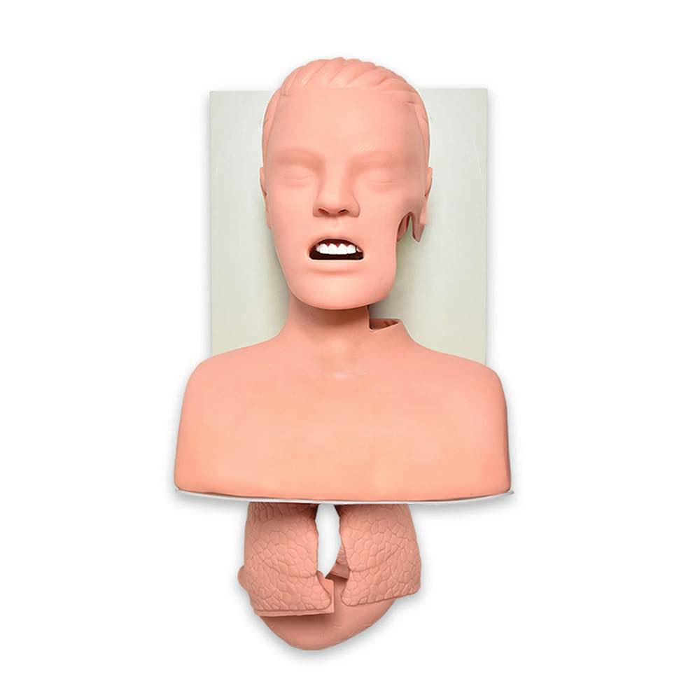 Simulador avanzado para entrenamiento de intubación de vías aéreas de Beracah Médica, con detalles del equipo y modelo en la imagen.