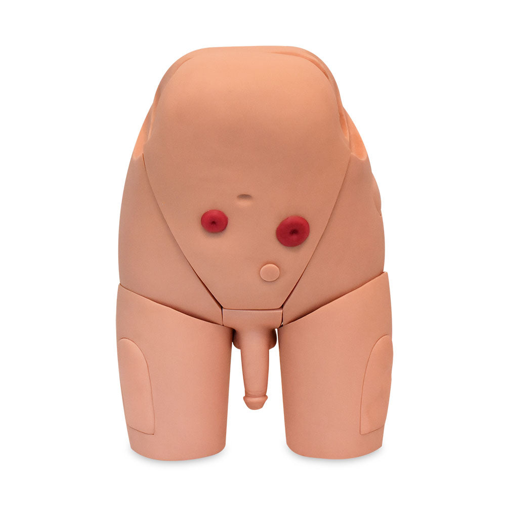 Simulador de cateterismo uretral y suprapúbico masculino de la marca Beracah Médica para entrenamiento médico.