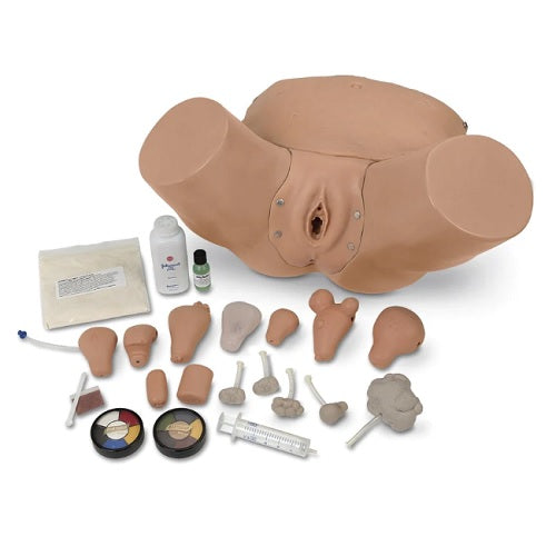 Simulador ginecológico y de examen pélvico avanzado Life/form de Beracah Medica para entrenamiento médico, con detalles anatómicos realistas.