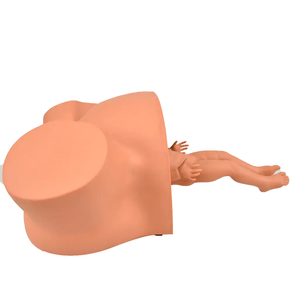 Simulador de parto con complicaciones de Beracah Medica, aparato de entrenamiento en obstetricia y atención prenatal.