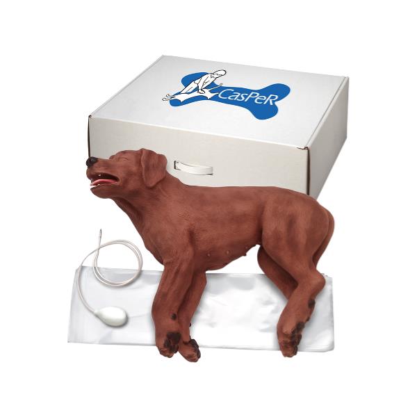 Maniquí de perro RCP modelo Casper de Beracah Médica, maniquí para entrenamiento en reanimación canina.