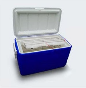 Termo hielera MSI Beracah Medica de 45 litros para transporte y conservación de vacunas, con asa y cierre hermético