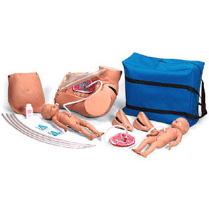 Simulador de parto pelvis de Beracah Medica, modelo para entrenamiento en obstetricia y parto, con detalles anatómicos visibles.