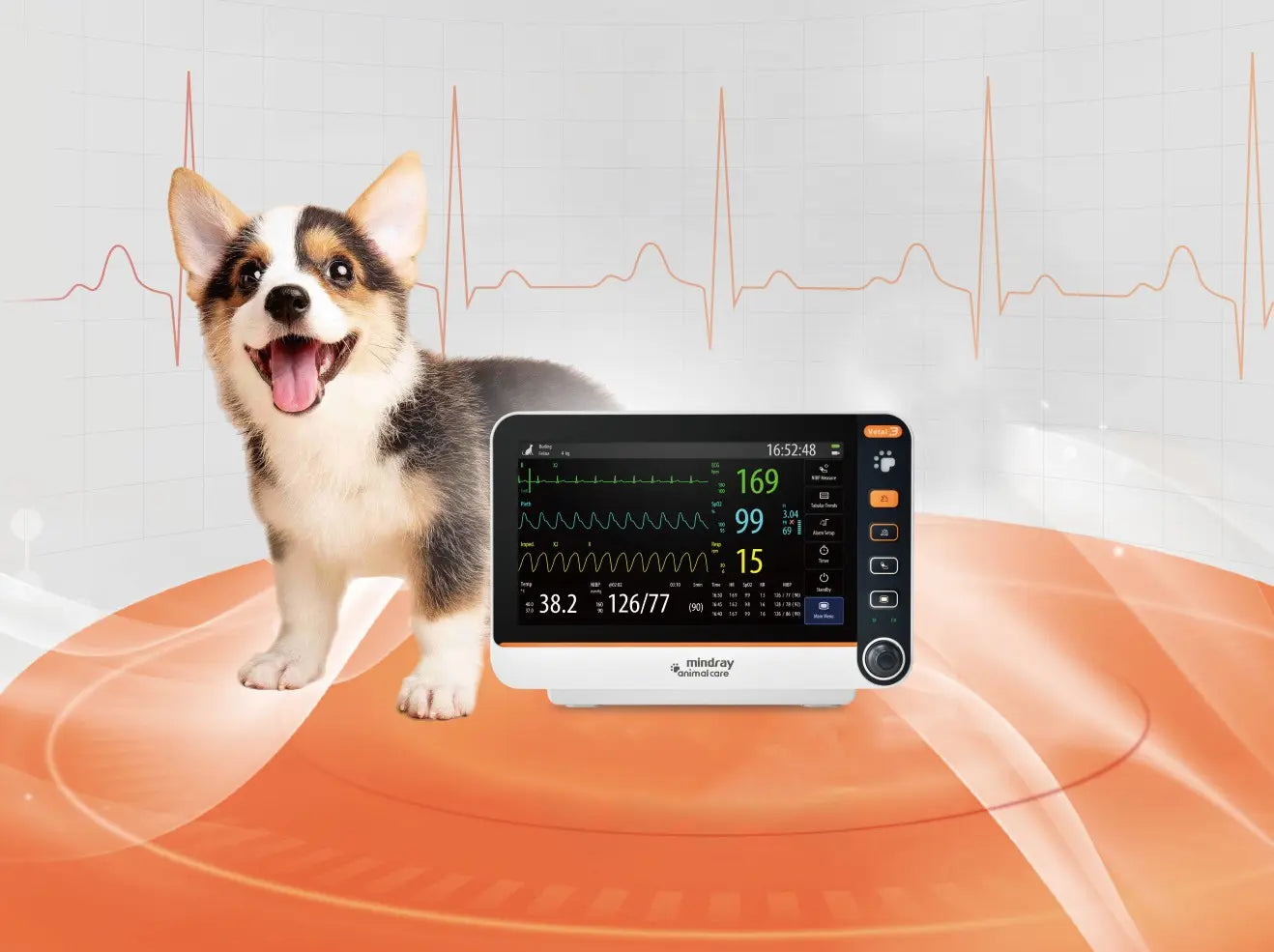 Monitor veterinario portátil Beracah Medica para signos vitales, pantalla digital y cables conectados, en uso clínico veterinario.