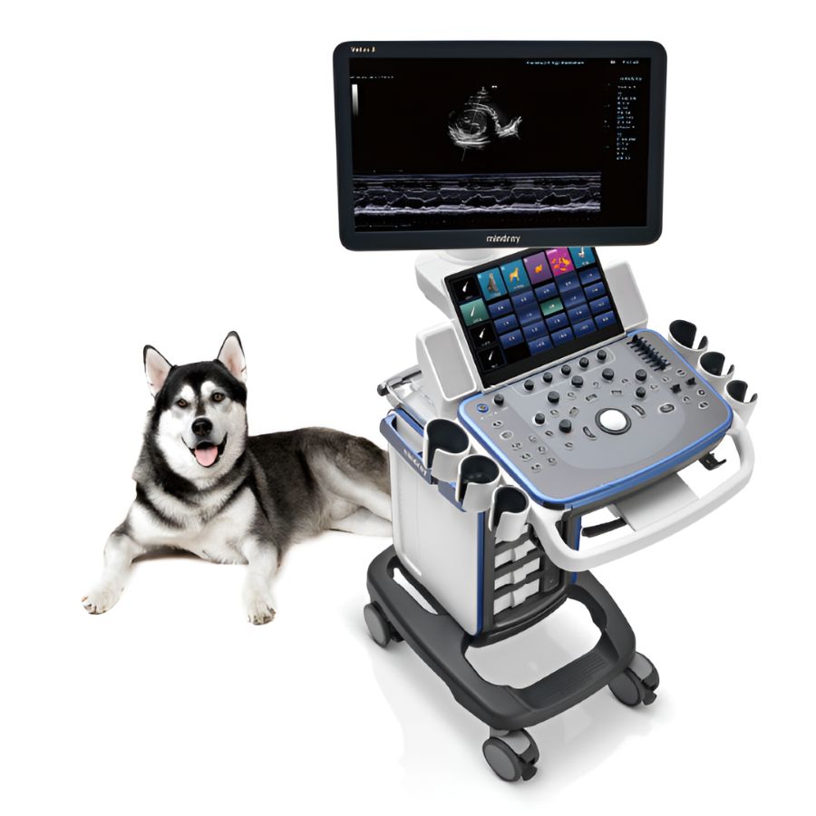 Ultrasonido veterinario Beracah Medica Vetus 5 con monitor LED de 21.5'' y transductor microconvexo para diagnóstico animal.