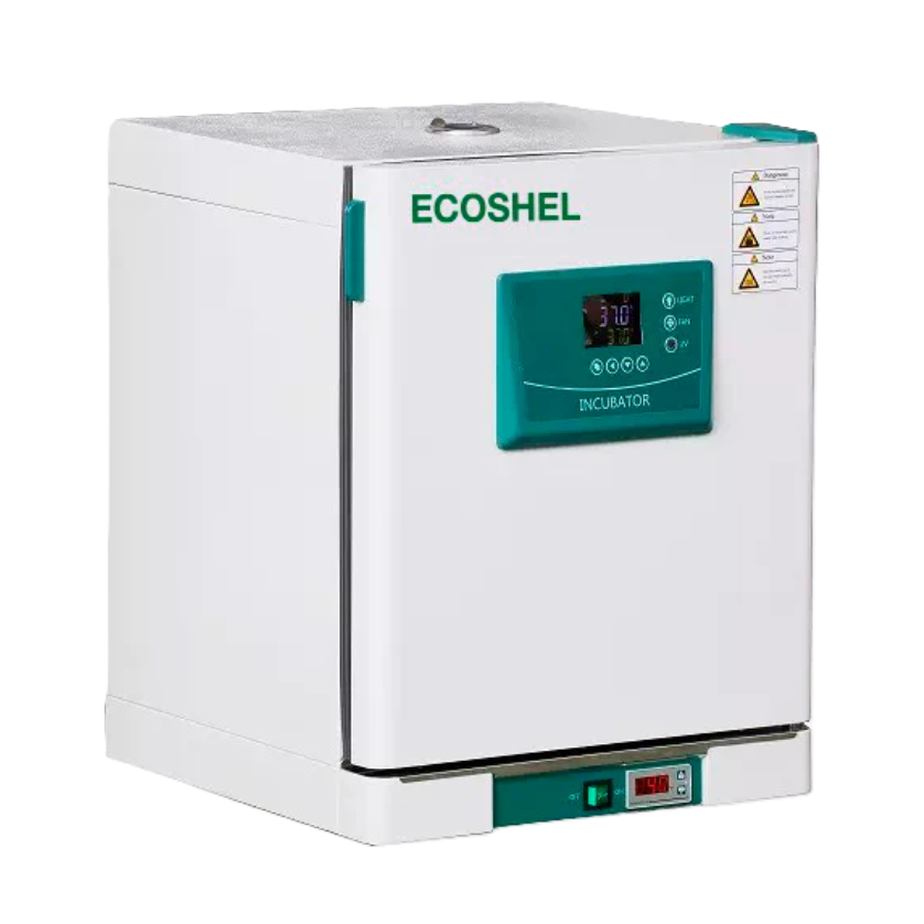 Incubadora de laboratorio Beracah Medica de 63L, con control de temperatura constante y puerta transparente.