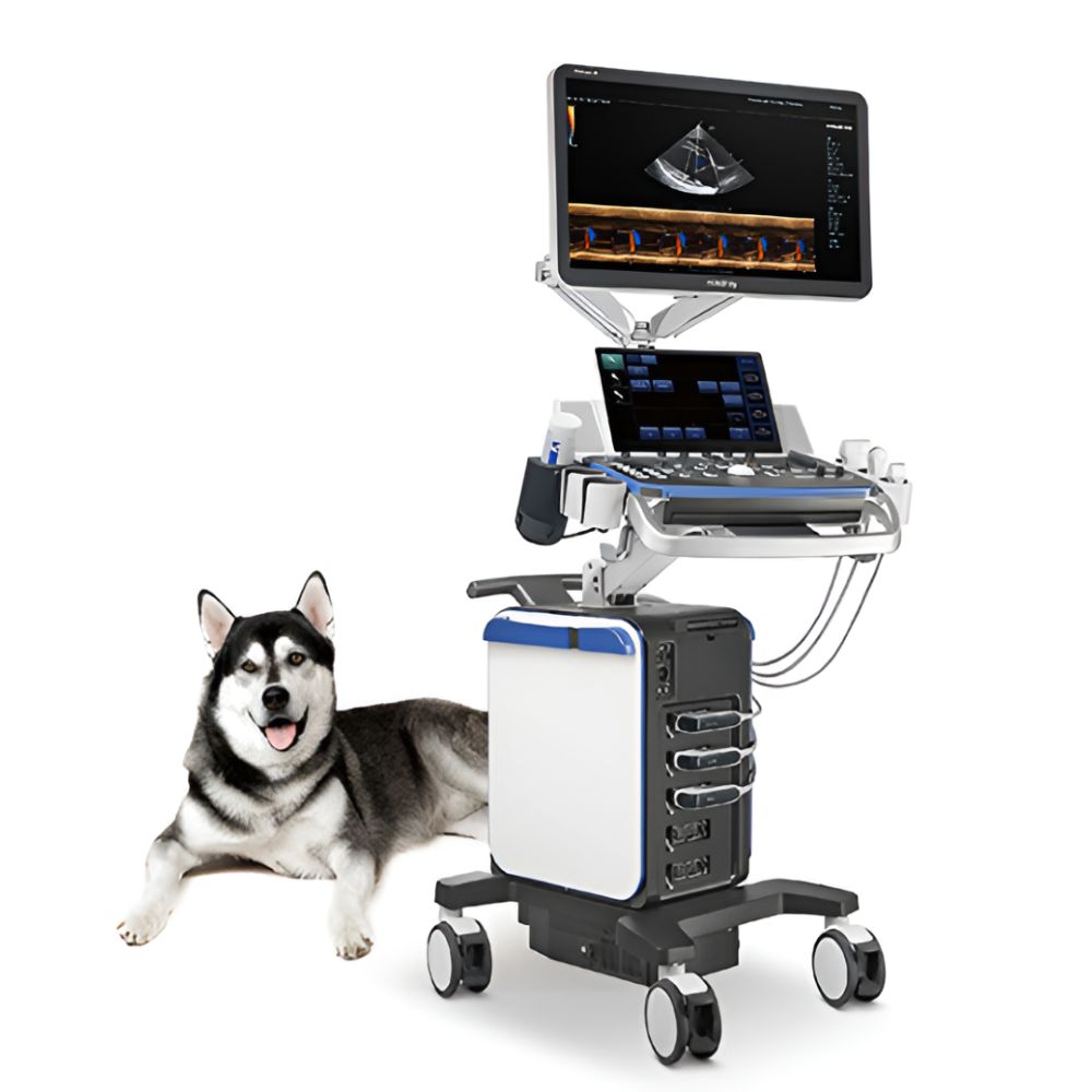 Ultrasonido veterinario Beracah Medica Vetus 8 con monitor HD de 23.8" y 2 transductores para diagnóstico animal.
