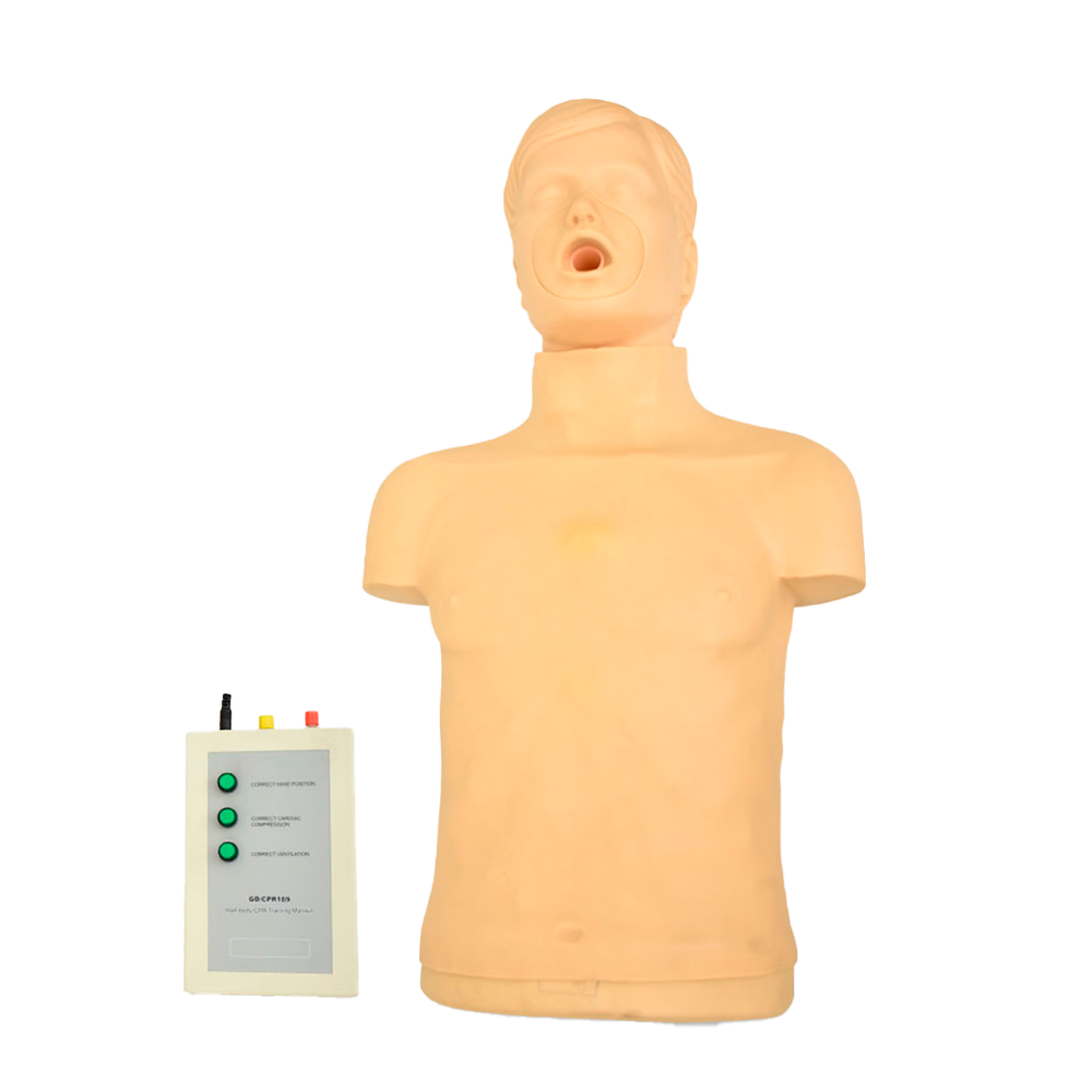 Maniquí de medio cuerpo para entrenamiento RCP y obstrucción, marca Beracah Medica, con detalles de torso y cabeza para prácticas de reanimación.