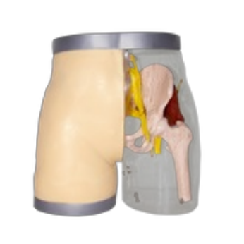 Simulador de inyección glúteo avanzado de Beracah Medica, herramienta para entrenamiento médico, con detalles realistas y superficie anatómica.