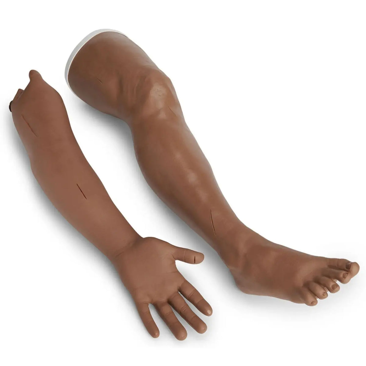 Simulador de práctica de suturas y grapado Life/form de Beracah Medica para entrenamiento médico, imagen de un modelo con heridas simuladas