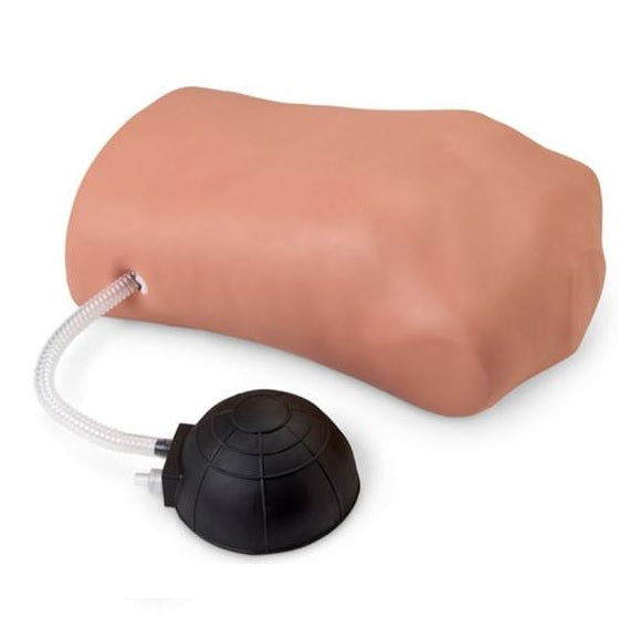Simulador de neumotórax para entrenamiento médico, marca Beracah Medica, con detalles realistas y superficies de entrenamiento.