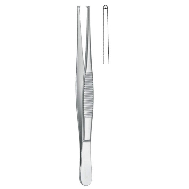 Pinza de disección con dientes Beracah Medica, de 13 cm, ideal para procedimientos médicos y especializados en anatomía.