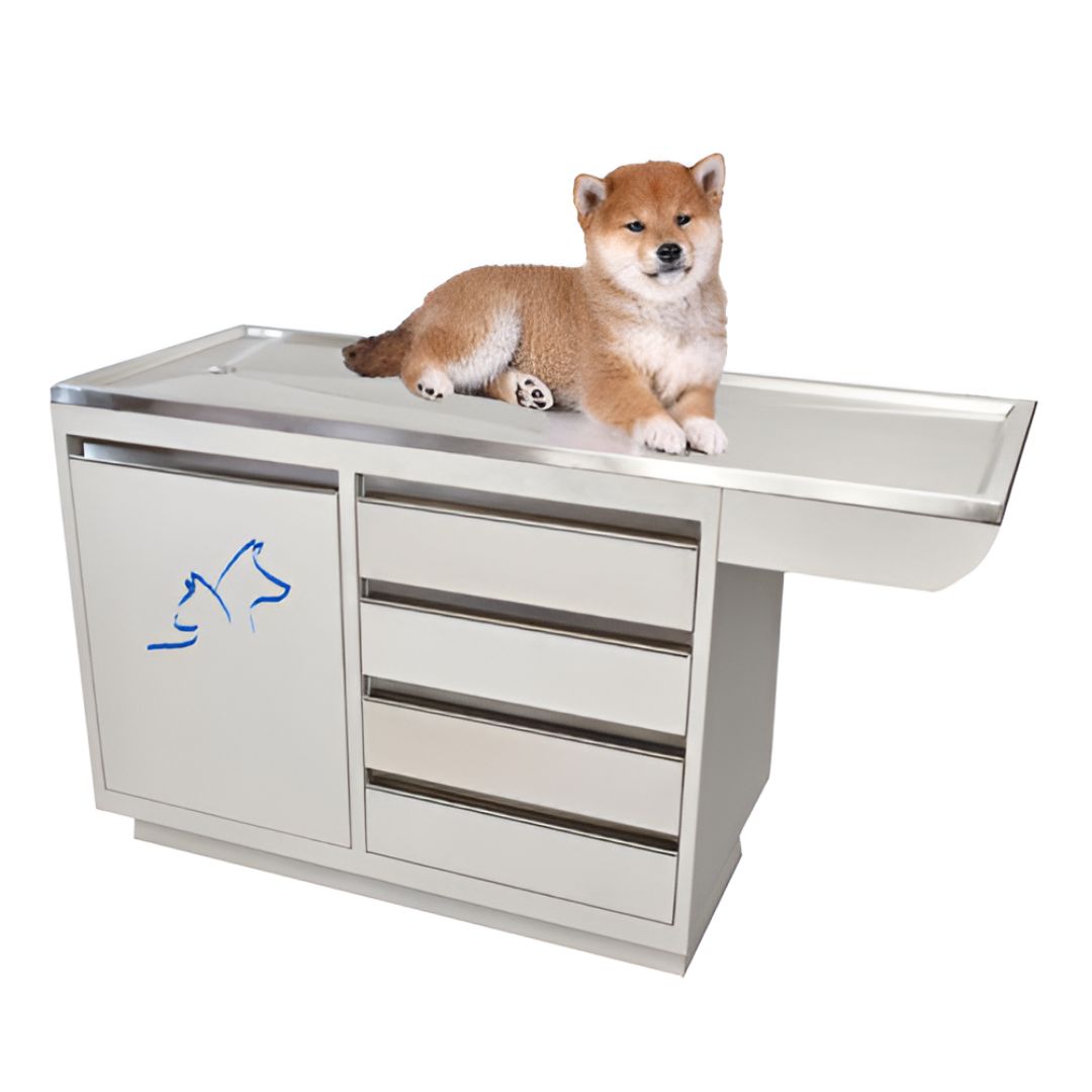 Mesa de exploración veterinaria MSI Beracah Médica con cubierta de acero inoxidable 304 y cuerpo esmaltado.