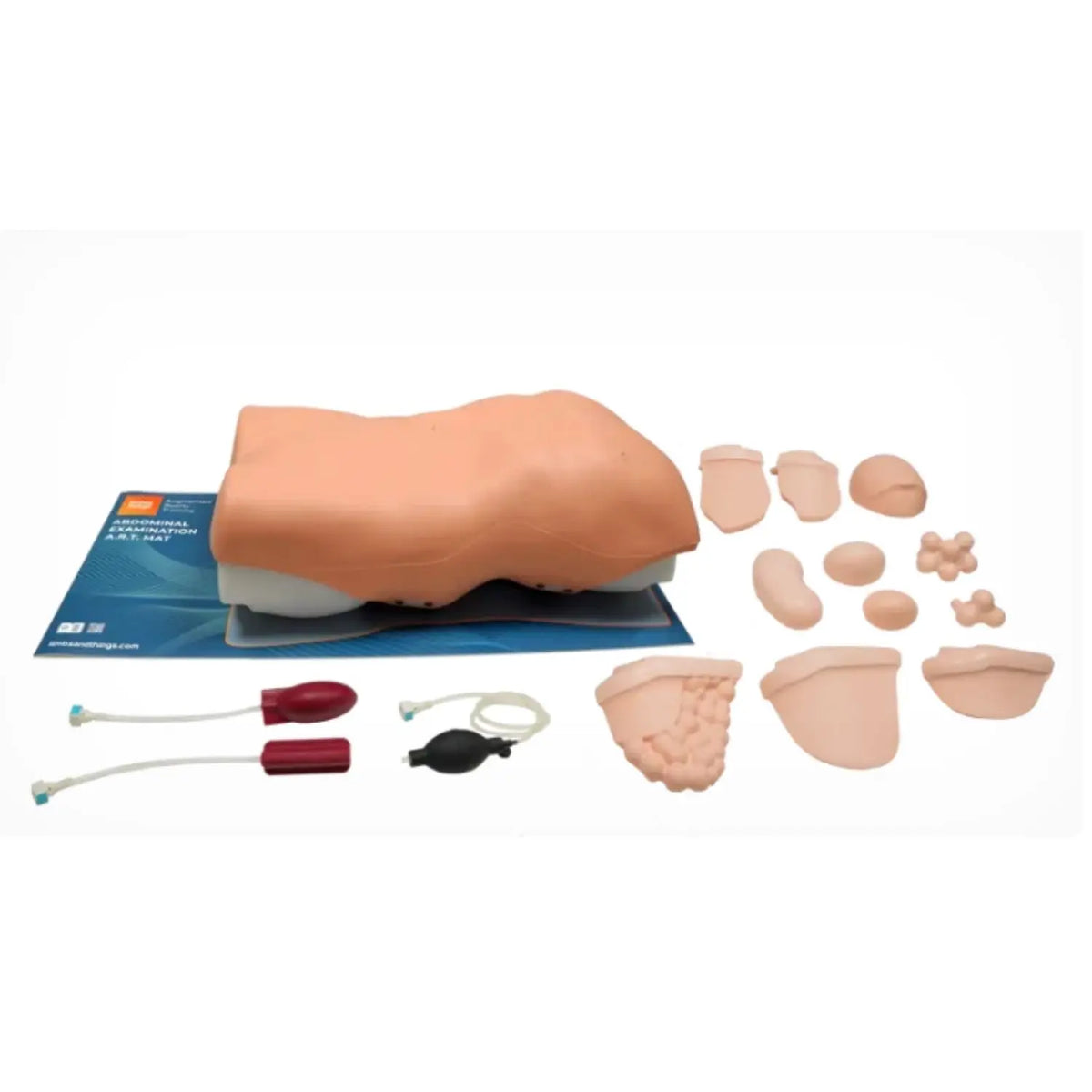Simulador de entrenamiento de examen abdominal de la marca Beracah Medica, con detalles realistas para práctica médica.