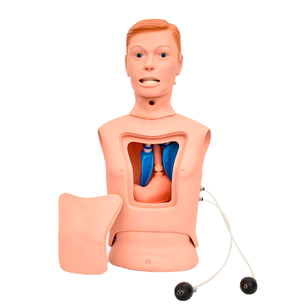 Simulador para alimentación nasogástrica e intubación traqueal de Beracah Médica, utilizado en entrenamiento médico.