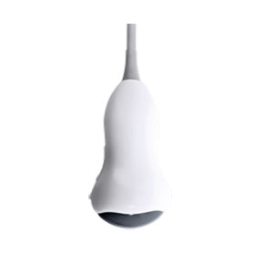 Transductor volumétrico para ultrasonido Vinno A5 de la marca Beracah Medica, con cable y cabezal de alta precisión.