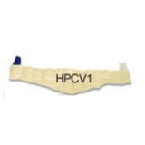 Compresa cervical 61cm dynaheat