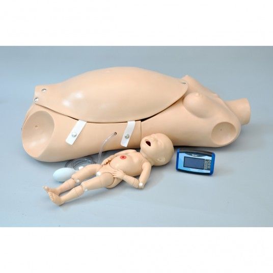Torso maternal y maniqui
